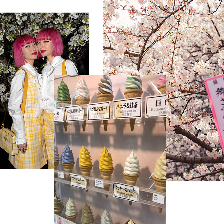 It’s Officially Cherry Blossom Season