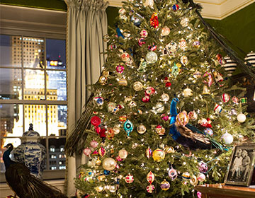 Holiday Issue: Tory’s Christmas Tree