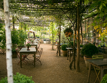 Spotlight On: England’s Petersham Nurseries