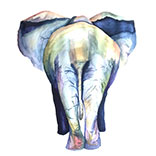 Word of Mouth: #ElephantYogaChallenge