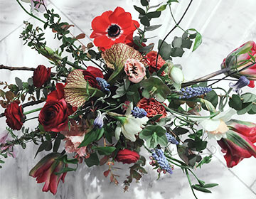 Floral Designer Liza Lubell On: Fall Flowers