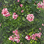 Garden Issue: Spotlight on Julian Schnabel’s New Plate Paintings