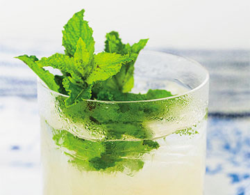 Beach Bohemia: Summer Cocktail Recipes