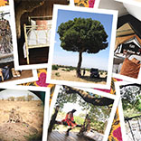 Getaway Issue: Rhode Resort’s Phoebe Vickers & Purna Khatau’s Postcard from Kenya
