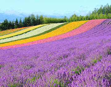 To Visit: Japan’s Hokkaido Island