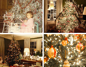 Tory’s Christmas Tree, Now and Then