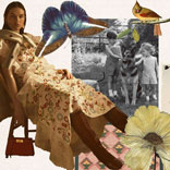 Editors’ Mood Board: A Collage That Pays Tribute to a Crafty Collection