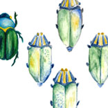 Ask Tory: Scarabs, Beetles and Dragonflies (Oh, My!)