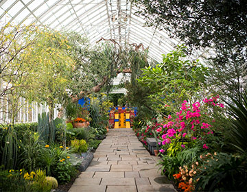 To Do: Frida Kahlo at the New York Botanical Garden