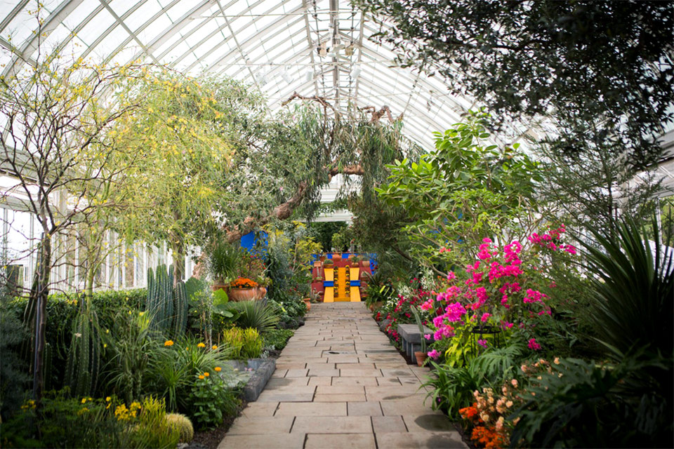 To Do Frida Kahlo At The New York Botanical Garden Tory Daily