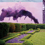 Tory Burch In Color: Purple