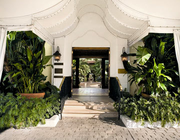 Getaway Guide: Tory’s Palm Beach