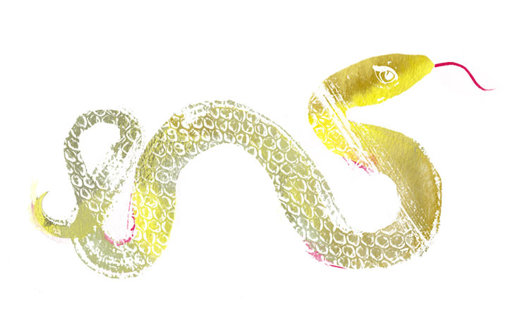 Astrologer Susie Cox On: The Year of the Water Snake