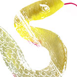 Astrologer Susie Cox On: The Year of the Water Snake