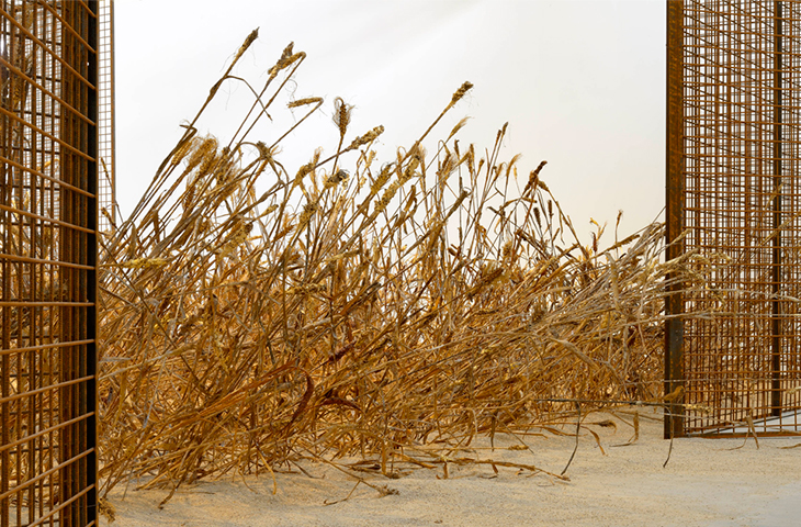 To Do: Anselm Kiefer in Paris