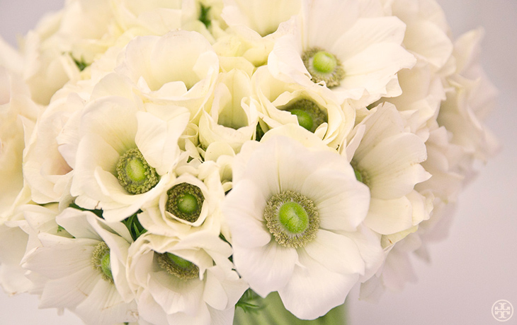 Tory Entertains: White Blooms