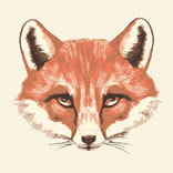 Most Wanted: The Fox