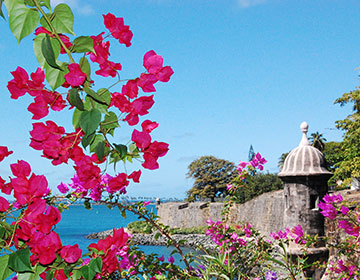 Getaway: Jewelry Designer Pamela Mufson’s San Juan