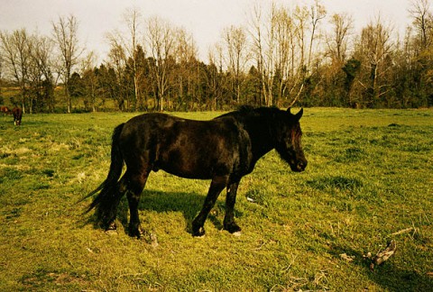 Tennessee