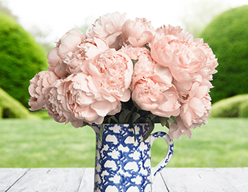 Mother’s Day: Tory Burch Beauty E-Card Bouquets